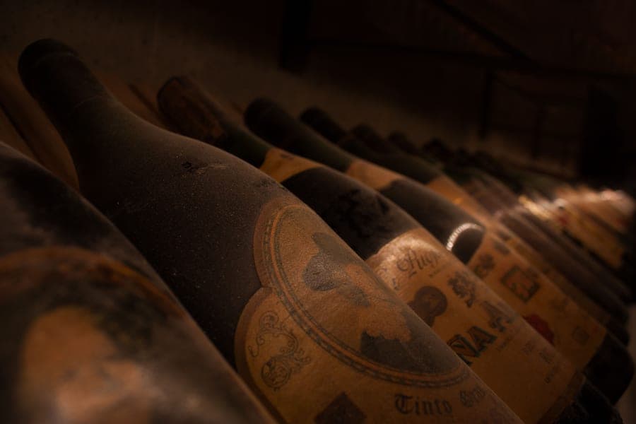 Rows of dusty wine bottles resting in a dim cellar rack