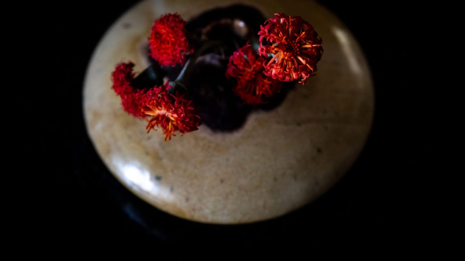 Red blooms in a round ceramic vase, photographed from above against a black background